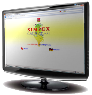 Referenz: SIMPEX